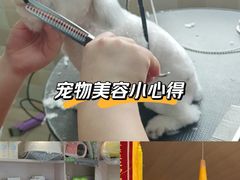 -宠颐生宠物医院·骨外科·犬猫全科诊疗中心(池州店)
