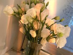 -春树下·树屋花房西餐厅(罍街AS1980店)