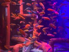 -沈阳海洋探索中心