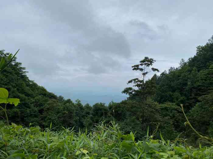 桂峰山風景旅遊區-