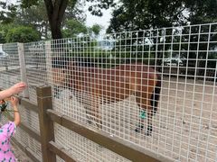 -杭州千岛湖开元度假村