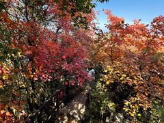 -秦岭终南山世界地质公园翠华山景区