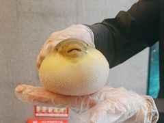 -肆月河豚·新淮扬(金融街店)