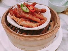 -四季春