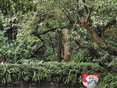 -广州兰圃