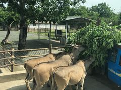 -西安秦岭野生动物园