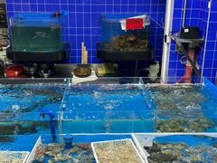 -明本湛江鸡•海鲜小厨(陈家祠店)