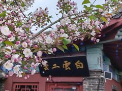 -泰山风景名胜区