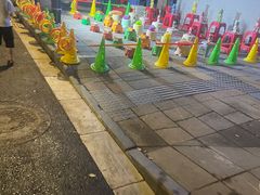 -南湖公园地摊集市