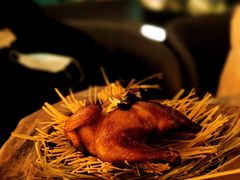 -Hi City·城市之巅