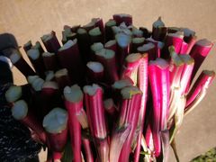 -武汉世外桃源农庄