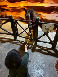 -酷嗒动物文化乐园(cutezoo西溪乐天城店)