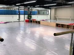 -舞蕾舞蹈(特长生校区)