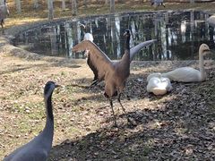 -艾溪湖湿地公园