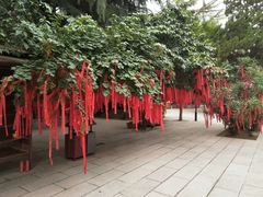 -西安青龙寺遗址景区