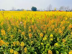 -中国天府农业博览园