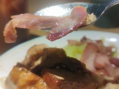 -昌勝香港深井烧鹅(新年华店)