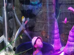 -沈阳海洋探索中心