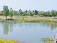 -洨河生态公园