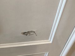 -上海棕榈滩海景酒店