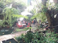 -Fern Forest Cafe
