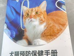 -德元·美联众合24小时动物医院(总院)