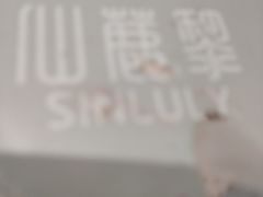 -仙鹿黎·新网红台式茶饮(沈北华强店)