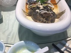 -一麦·龙岛(上海青浦店)