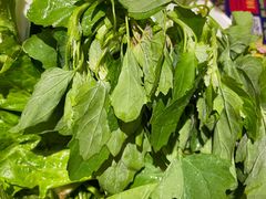 -亮欢寨(凯里总店)