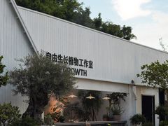 -自由生长植物工作室(深港花卉中心店)