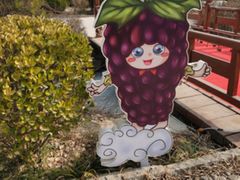 -夏津德百度假村温泉