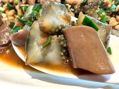 -77号渔船·蒸海鲜青岛菜(积米崖店)