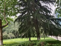 -裕华世纪公园