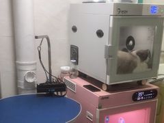 -乐琪宠物医院·犬猫专科·骨外科·急重症