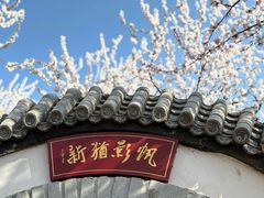 -桃花堤公园