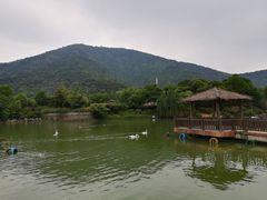 -无锡动物园·太湖欢乐园