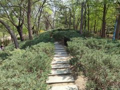 -元大都城垣遗址公园