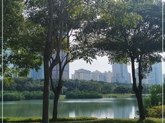 -万绿园