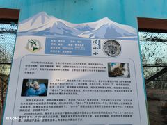 -青藏高原野生动物园