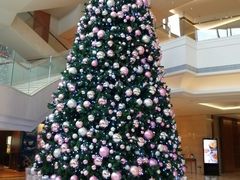 -新发展亚太JW万豪酒店·福苑咖啡厅