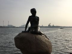 -美人鱼