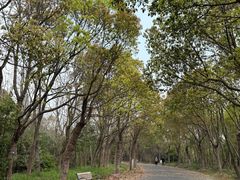 -上海海湾国家森林公园