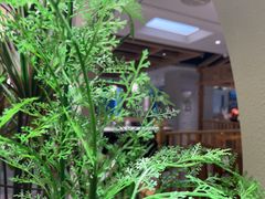 -野妹经典火锅(民治店)