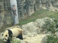 -武汉动物园