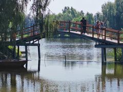 -白渔泡湿地公园