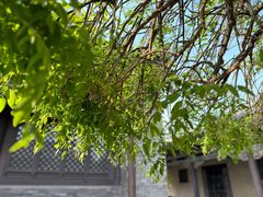 -梁思成纪念馆