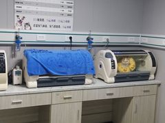-半岛宠物医院24小时(科华中路店)