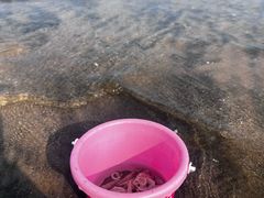 -台山黑沙湾海浴场