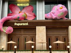 -帕帕拉兹宠物(亚洲旗舰店)