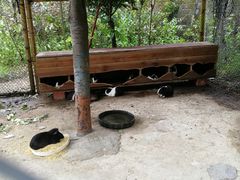 -龙门水都景区